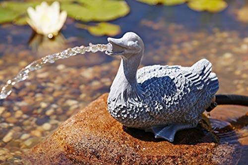 oase-pondjet-anatra-decorazione-laghetto-con-getto-d-acqua-290-mm image 7