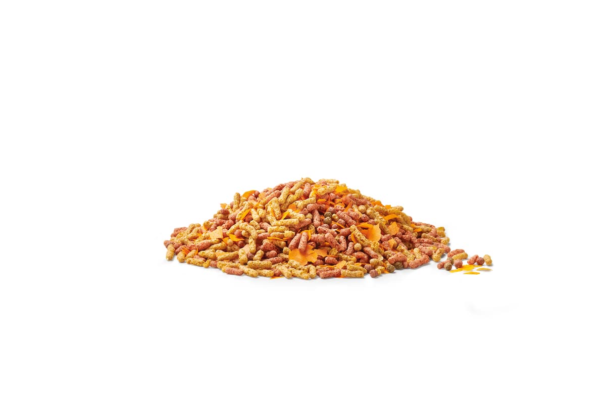 oase-dynamix-sticks-mix-plus-snack-4-l-mangime-pesci-laghetto image 2
