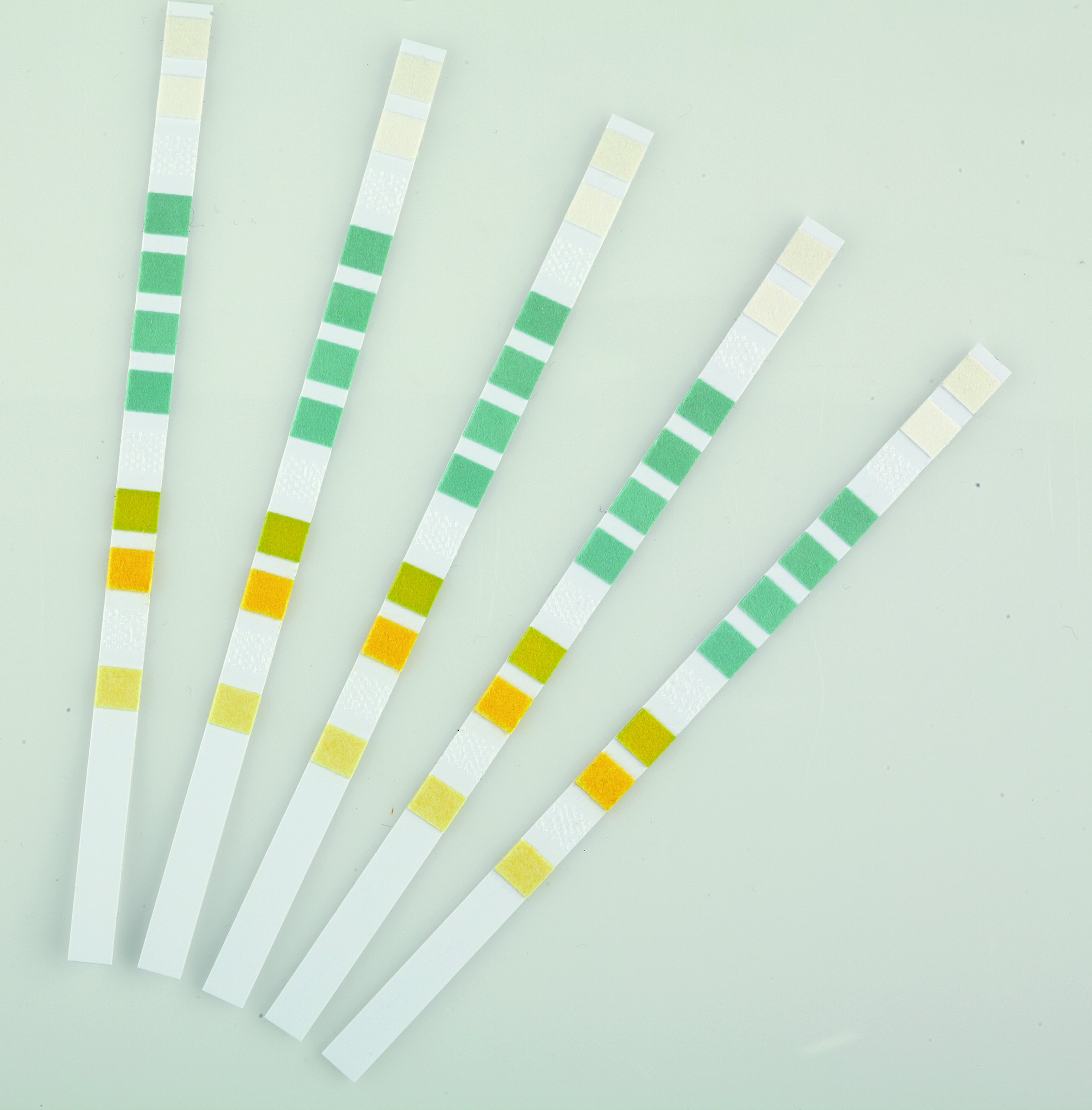 oase-50570-aquaactiv-quicksticks-6-in-1-strisce-test-acqua-laghetto image 2
