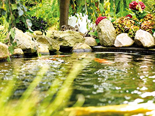 oase-aquarius-universal-classic-440-pompa-giochi-d-acqua-esterna image 5
