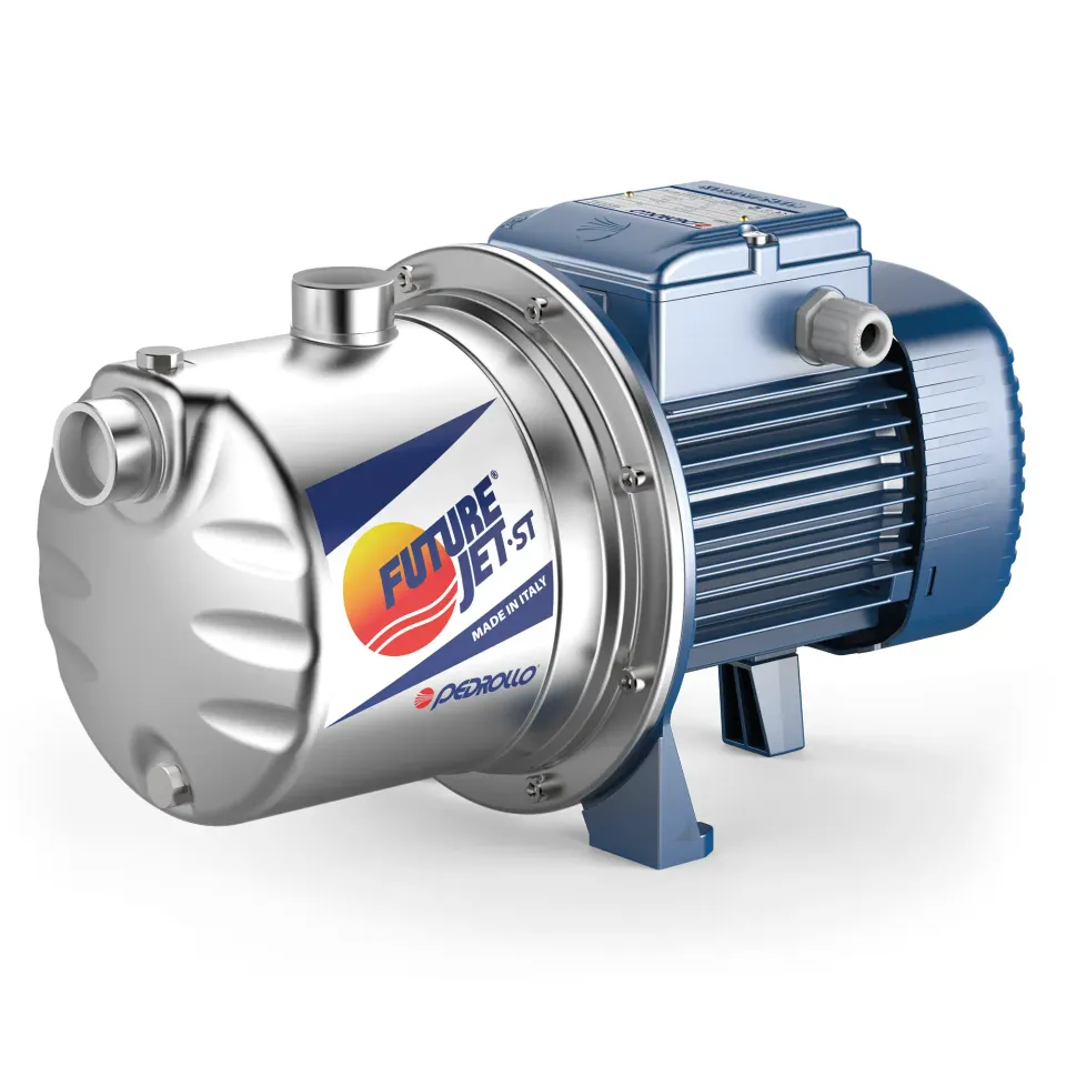 pedrollo-future-jet-st-elettropompa-autoadescante-jet-per-autoclave-e-irrigazion image 1