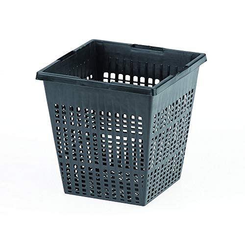 oase-53754-cestello-per-piante-quadrangolare-nero image 6