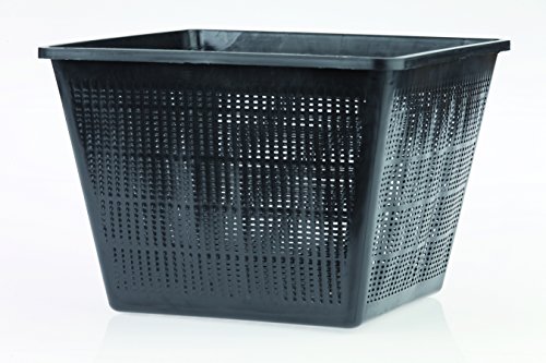 oase-cestello-per-piante-da-laghetto-quadrangolare-nero image 4
