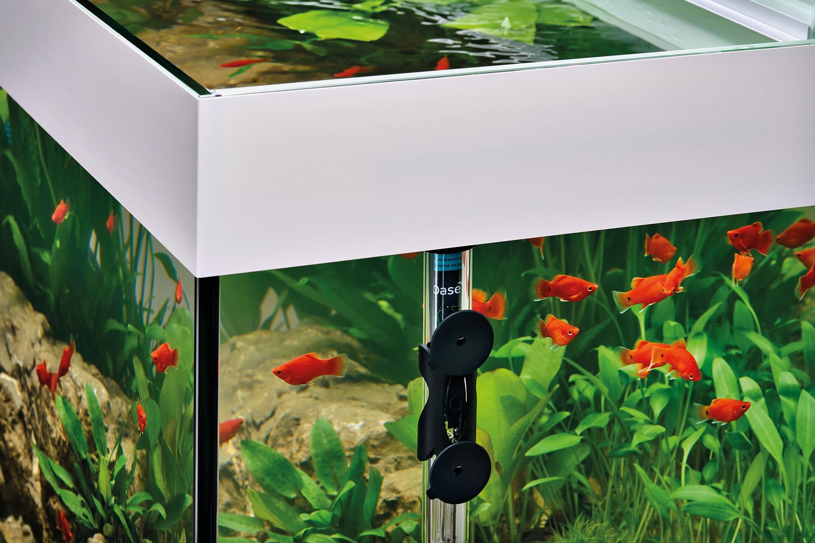 oase-heatup-200-42708-riscaldatore-per-acquario-200w-con-supporto image 3