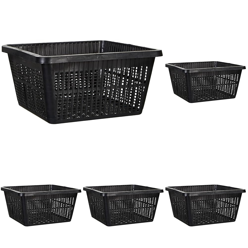 oase-cestello-per-ninfee-rotondo-nero-in-plastica image 5