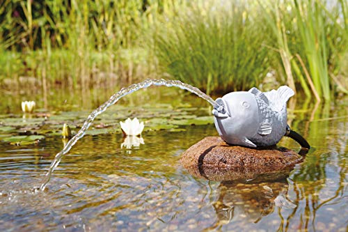 oase-gargoyle-fish-figura-decorativa-con-getto-d-acqua-per-laghetto image 6