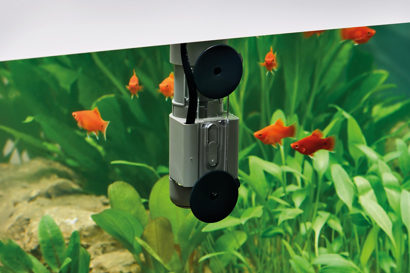 oase-crystalskim-350-skimmer-compatto-acquario-4-5-w-per-acqua-dolce-e-marina-ne image 6
