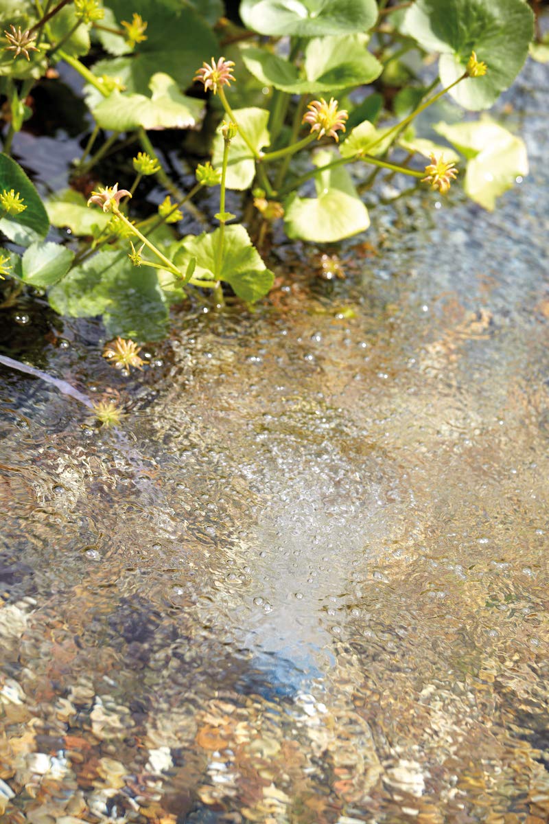 oase-aquaoxy-1000-pompa-d-aria-per-laghetto image 3