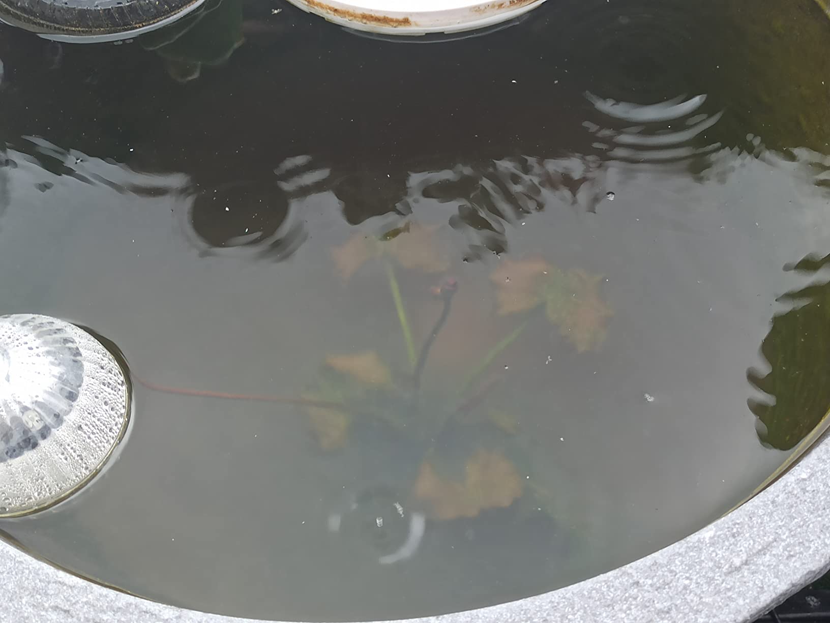 Acqua cristallina