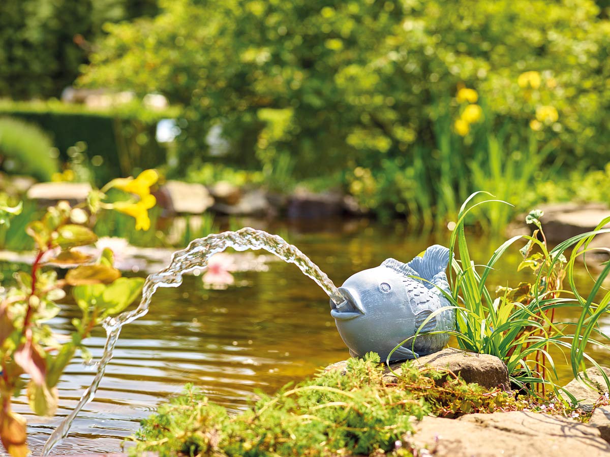 oase-gargoyle-fish-figura-decorativa-con-getto-d-acqua-per-laghetto image 4