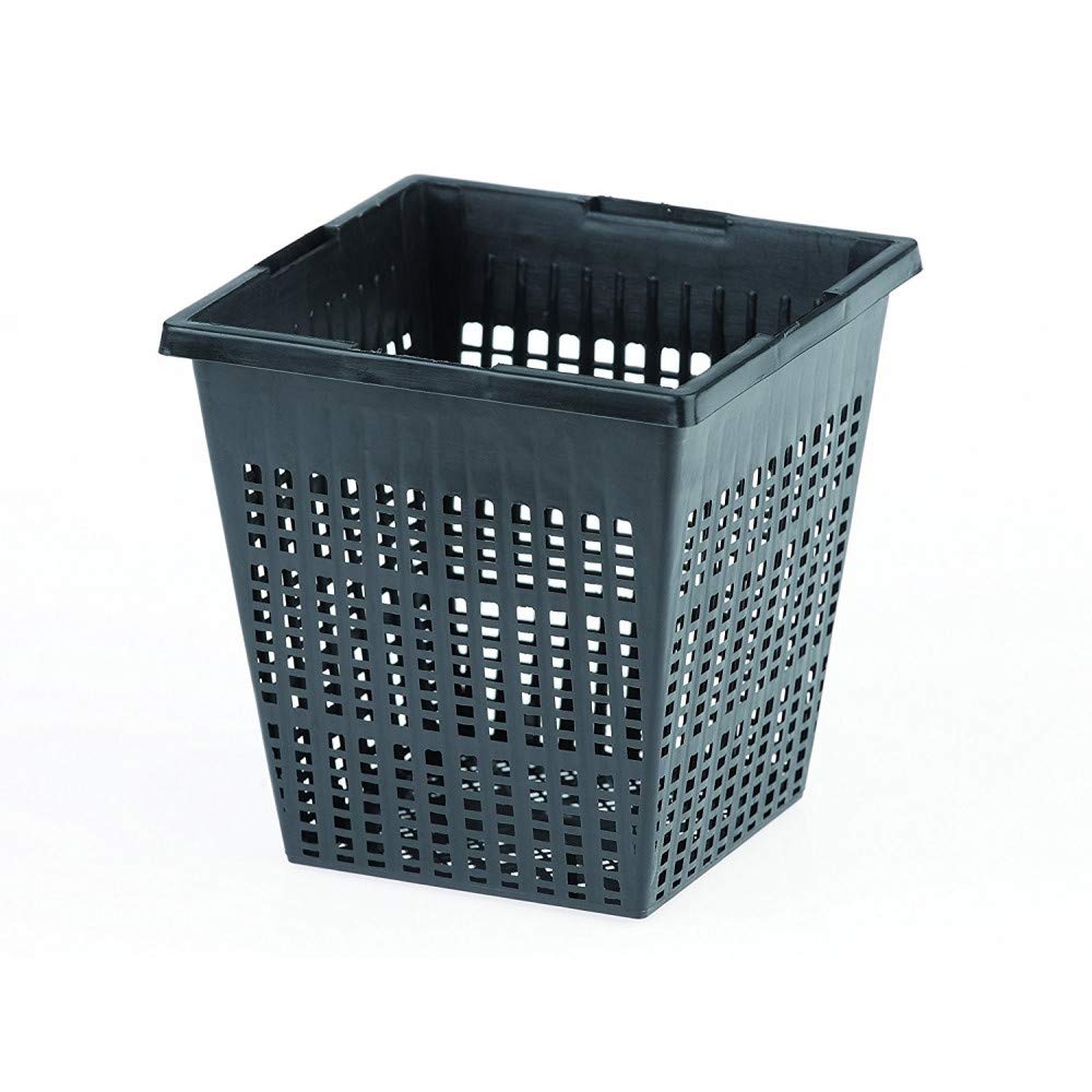 oase-53754-cestello-per-piante-quadrangolare-nero image 2