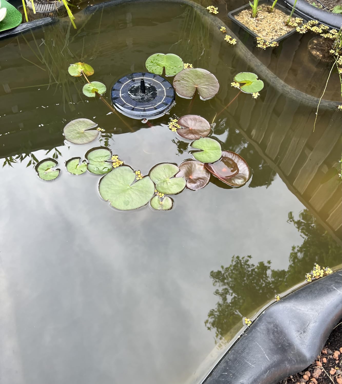 Acqua verde sparita