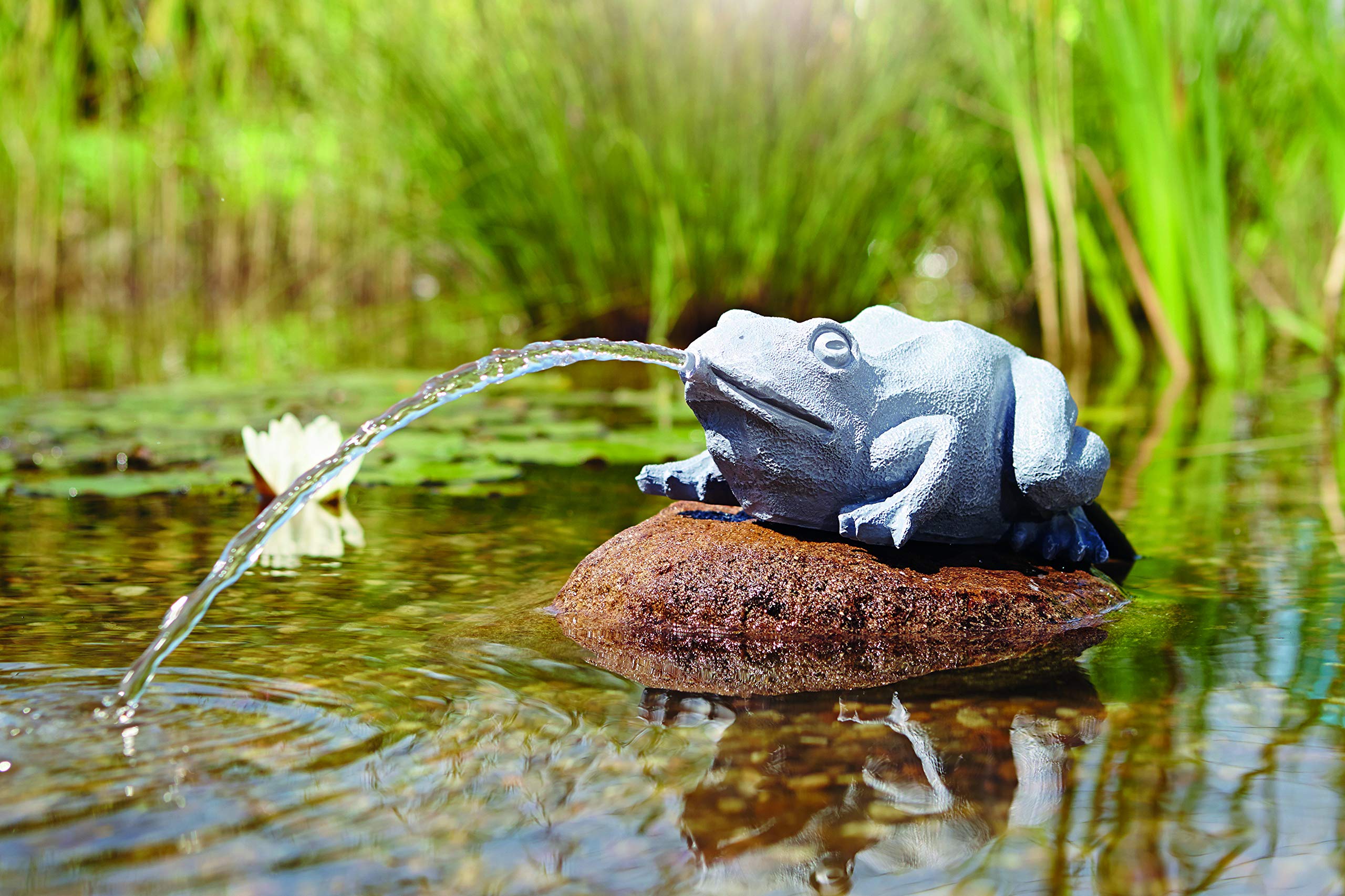 oase-36774-decorazione-laghetto-rana-con-getto-d-acqua-ossigenante image 4