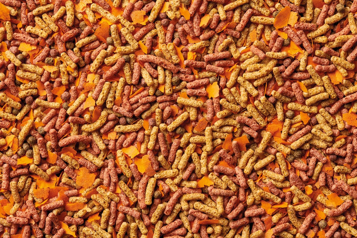 oase-dynamix-sticks-mix-plus-snack-4-l-mangime-pesci-laghetto image 3
