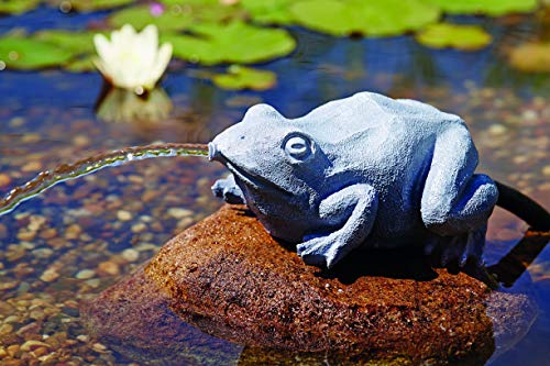 oase-36774-decorazione-laghetto-rana-con-getto-d-acqua-ossigenante image 8