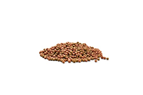 oase-dynamix-koi-pellet-large-4-l-mangime-base-per-koi image 7