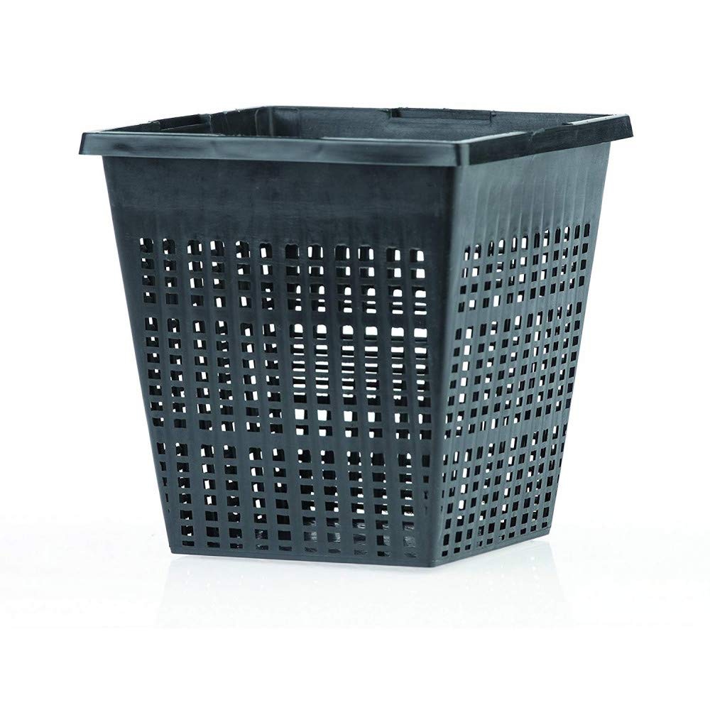 oase-53754-cestello-per-piante-quadrangolare-nero image 1