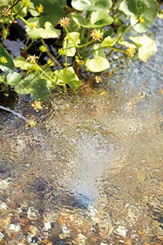 oase-aquaoxy-1000-pompa-d-aria-per-laghetto image 8