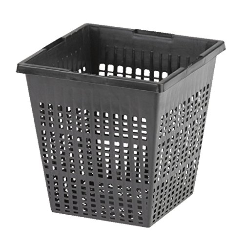 oase-cestello-per-piante-da-laghetto-quadrangolare-nero image 3